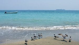 La falta de visitantes en las playas de Veracruz ha hecho que esté más limpia la zona